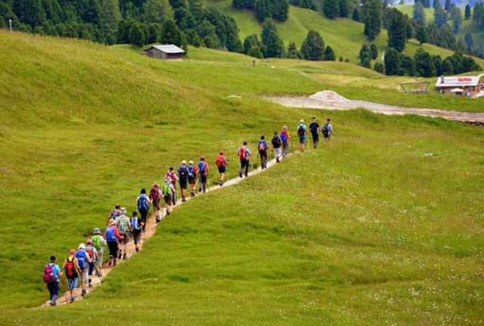 eine Gruppe von Wanderern geht über eine grüne Wiese
