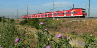 Zusätzliches Verkehrsangebot zum Glücksgefühle-Festival